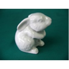 Ref. 99802 -  COELHO